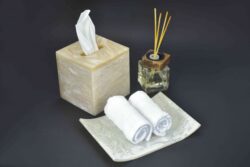 Resin Tissue Box with Tray